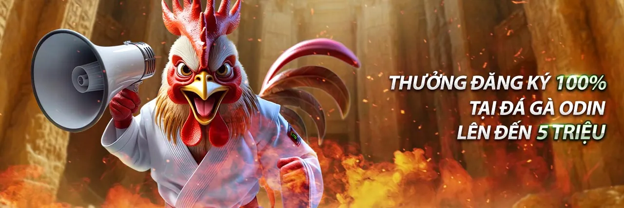 Tin tức trực tiếp đá gà Thomo 67