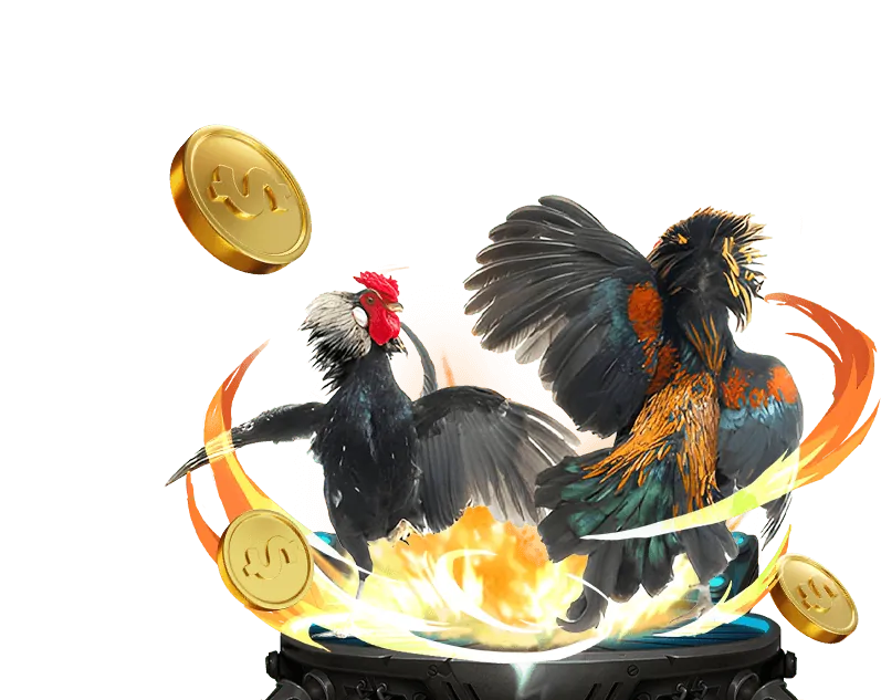 Quy tắc đá gà Thomo 67